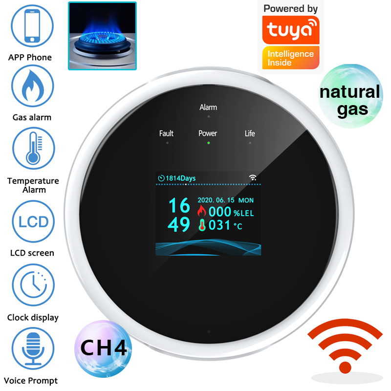 Home Security Equipment - Capteur d'alarme de gaz WiFi 2.4G,
