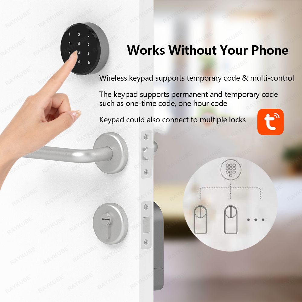 RAYKUBE A1 Pro Tuya BEL ensemb - Home Security Keypad avis et prix