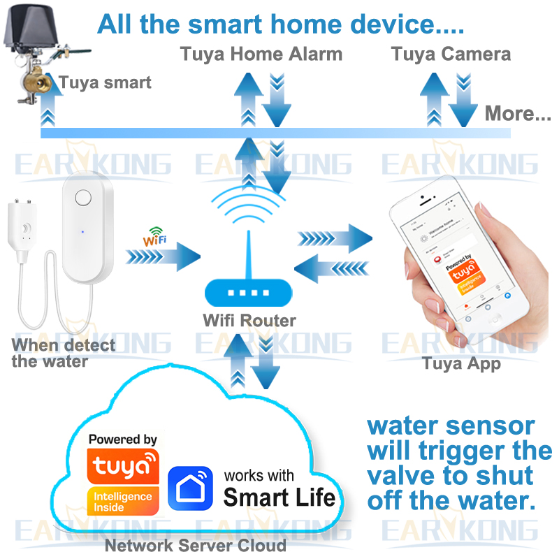 Tuya – capteur de fuite d'eau  - Home Security Equipment avis et prix